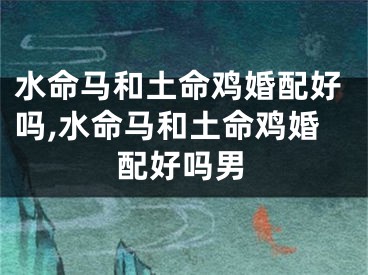 水命马和土命鸡婚配好吗,水命马和土命鸡婚配好吗男