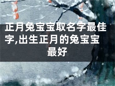 正月兔宝宝取名字最佳字,出生正月的兔宝宝最好