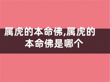 属虎的本命佛,属虎的本命佛是哪个