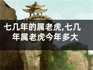 七几年的属老虎,七几年属老虎今年多大