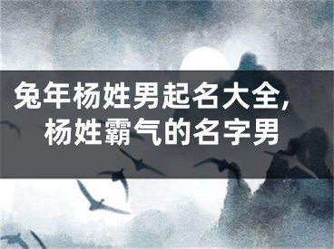 兔年杨姓男起名大全,杨姓霸气的名字男