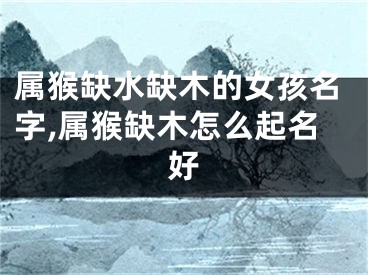 属猴缺水缺木的女孩名字,属猴缺木怎么起名好