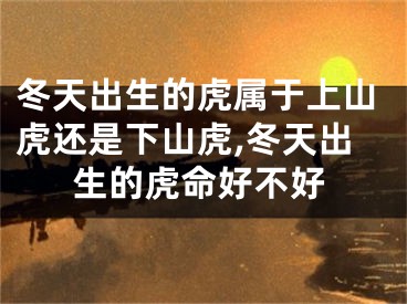 冬天出生的虎属于上山虎还是下山虎,冬天出生的虎命好不好