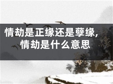 情劫是正缘还是孽缘,情劫是什么意思
