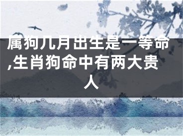 属狗几月出生是一等命,生肖狗命中有两大贵人