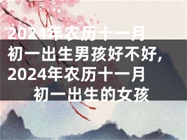 2024年农历十一月初一出生男孩好不好,2024年农历十一月初一出生的女孩