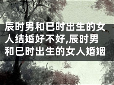 辰时男和巳时出生的女人结婚好不好,辰时男和巳时出生的女人婚姻