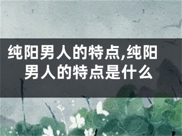 纯阳男人的特点,纯阳男人的特点是什么