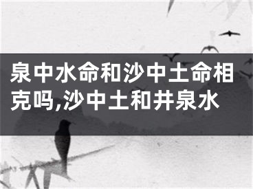 泉中水命和沙中土命相克吗,沙中土和井泉水