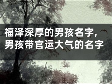 福泽深厚的男孩名字,男孩带官运大气的名字