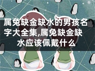 属兔缺金缺水的男孩名字大全集,属兔缺金缺水应该佩戴什么