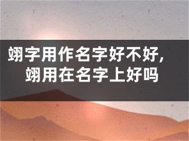 翊字用作名字好不好,翊用在名字上好吗