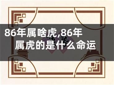 86年属啥虎,86年属虎的是什么命运