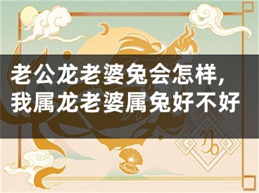 老公龙老婆兔会怎样,我属龙老婆属兔好不好