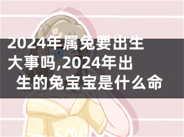 2024年属兔要出生大事吗,2024年出生的兔宝宝是什么命