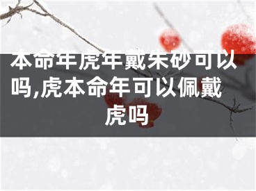本命年虎年戴朱砂可以吗,虎本命年可以佩戴虎吗