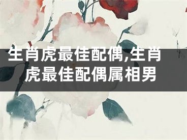 生肖虎最佳配偶,生肖虎最佳配偶属相男
