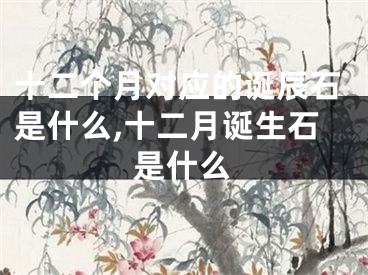十二个月对应的诞辰石是什么,十二月诞生石是什么