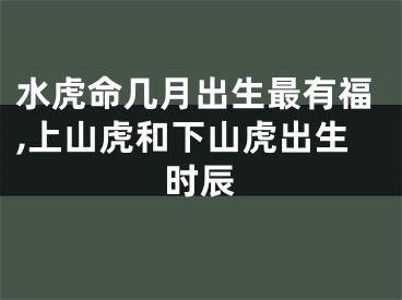 水虎命几月出生最有福,上山虎和下山虎出生时辰