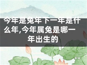 今年是兔年下一年是什么年,今年属兔是哪一年出生的