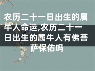 农历二十一日出生的属牛人命运,农历二十一日出生的属牛人有佛菩萨保佑吗