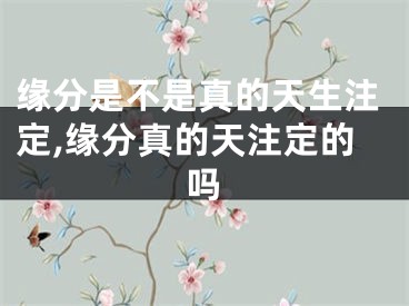 缘分是不是真的天生注定,缘分真的天注定的吗