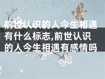 前世认识的人今生相遇有什么标志,前世认识的人今生相遇有感情吗
