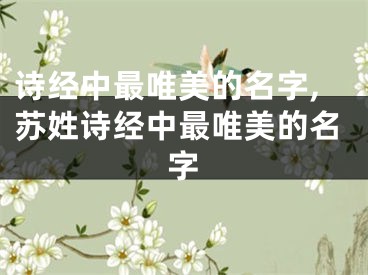 诗经中最唯美的名字,苏姓诗经中最唯美的名字
