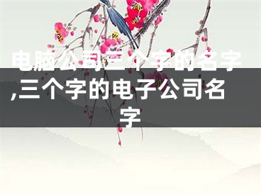 电脑公司三个字的名字,三个字的电子公司名字