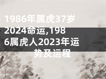 1986年属虎37岁2024命运,1986属虎人2023年运势及运程
