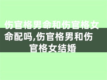 伤官格男命和伤官格女命配吗,伤官格男和伤官格女结婚