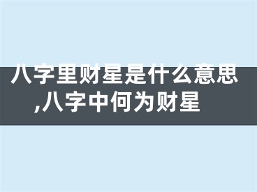 八字里财星是什么意思,八字中何为财星
