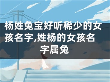 杨姓兔宝好听稀少的女孩名字,姓杨的女孩名字属兔