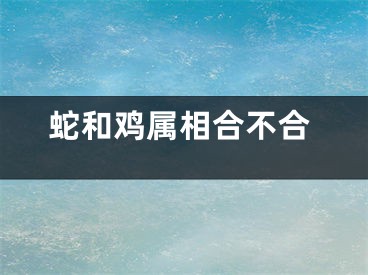 蛇和鸡属相合不合
