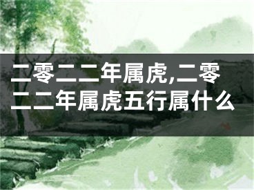 二零二二年属虎,二零二二年属虎五行属什么