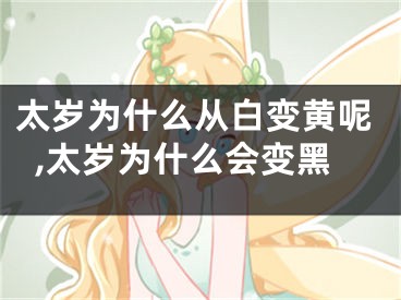 太岁为什么从白变黄呢,太岁为什么会变黑