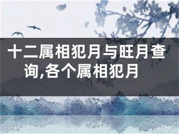 十二属相犯月与旺月查询,各个属相犯月