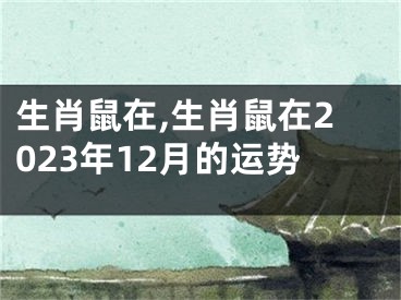 生肖鼠在,生肖鼠在2023年12月的运势