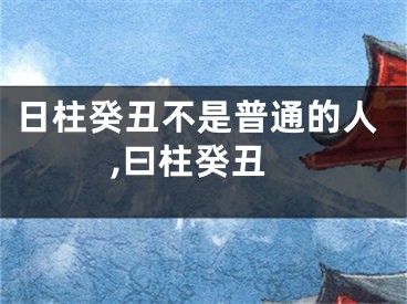 日柱癸丑不是普通的人,曰柱癸丑
