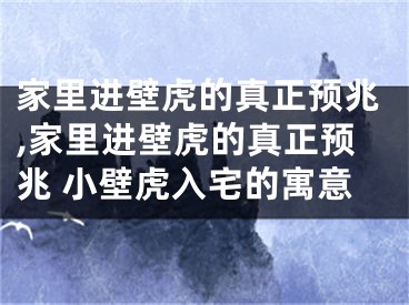 家里进壁虎的真正预兆,家里进壁虎的真正预兆 小壁虎入宅的寓意