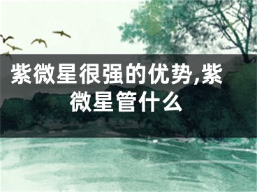 紫微星很强的优势,紫微星管什么
