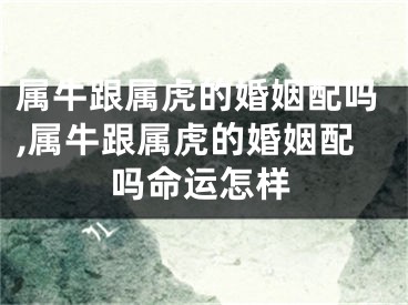 属牛跟属虎的婚姻配吗,属牛跟属虎的婚姻配吗命运怎样