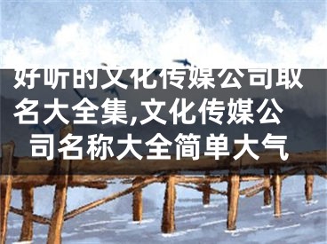 好听的文化传媒公司取名大全集,文化传媒公司名称大全简单大气