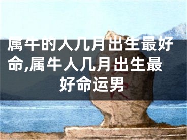 属牛的人几月出生最好命,属牛人几月出生最好命运男