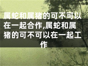 属蛇和属猪的可不可以在一起合作,属蛇和属猪的可不可以在一起工作