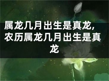 属龙几月出生是真龙,农历属龙几月出生是真龙