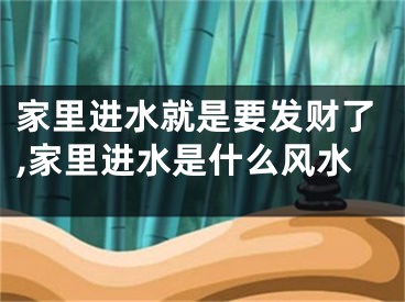 家里进水就是要发财了,家里进水是什么风水