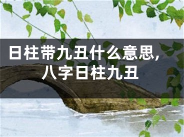 日柱带九丑什么意思,八字日柱九丑