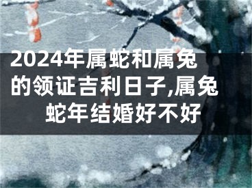 2024年属蛇和属兔的领证吉利日子,属兔蛇年结婚好不好