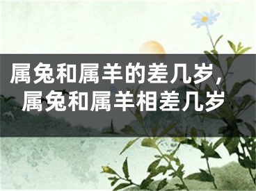属兔和属羊的差几岁,属兔和属羊相差几岁